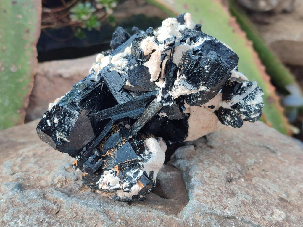Natural Schorl Black Tourmaline with Feldspar Specimens x 2 From Erongo, Namibia - Toprock Gemstones and Minerals 