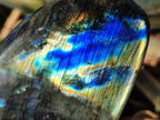 Polished Labradorite Standing Free Forms x 2 From Madagascar - Toprock Gemstones and Minerals 
