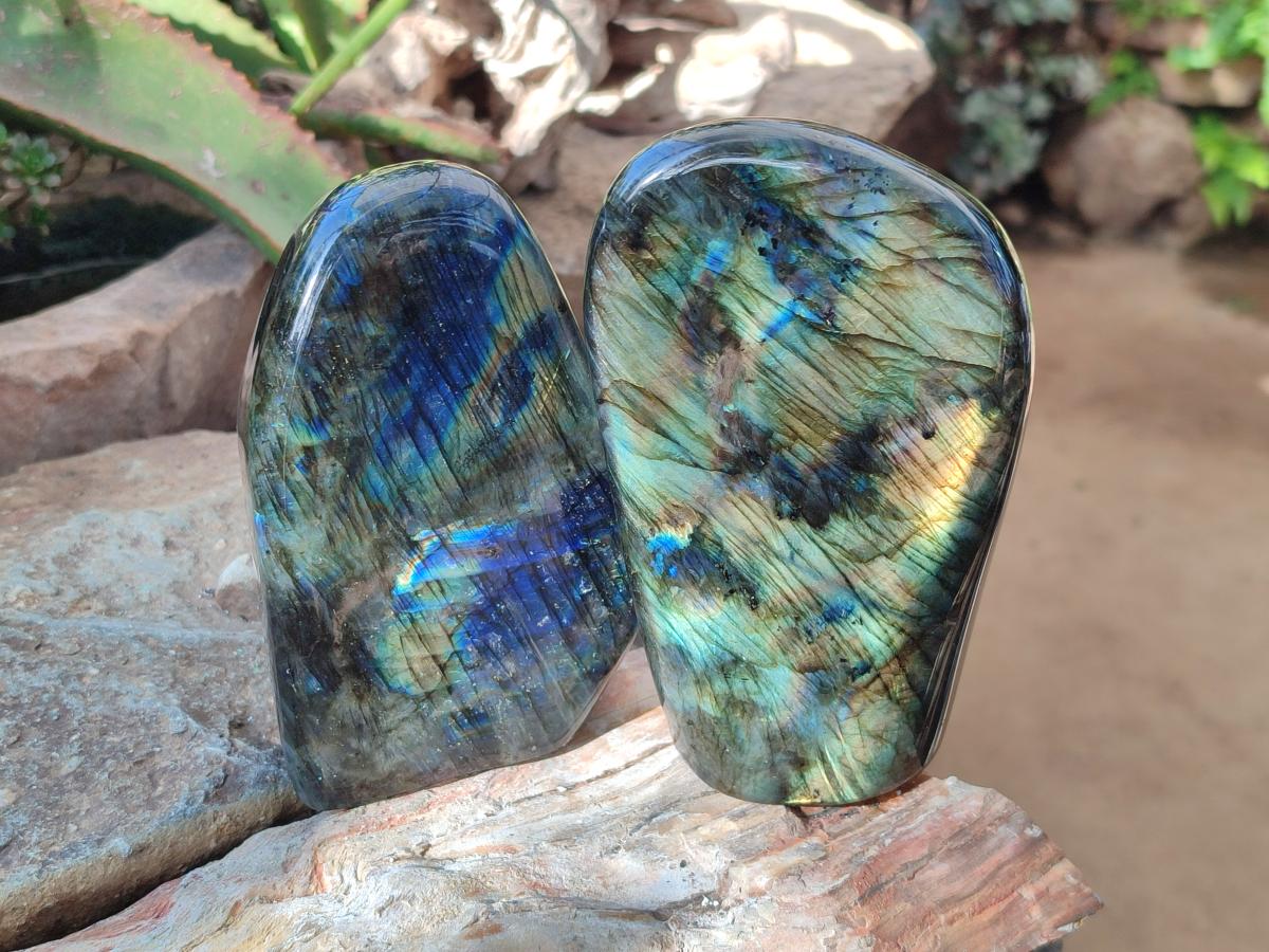 Polished Labradorite Standing Free Forms x 2 From Madagascar - Toprock Gemstones and Minerals 