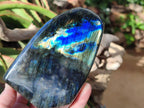 Polished Labradorite Standing Free Forms x 2 From Madagascar - Toprock Gemstones and Minerals 