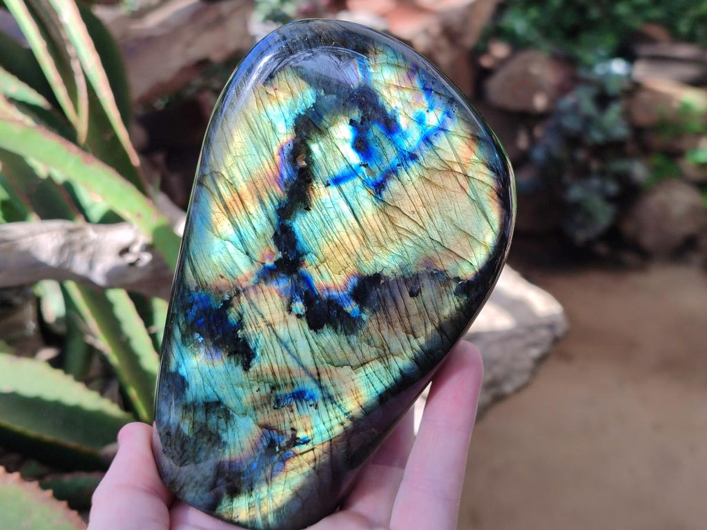 Polished Labradorite Standing Free Forms x 2 From Madagascar - Toprock Gemstones and Minerals 