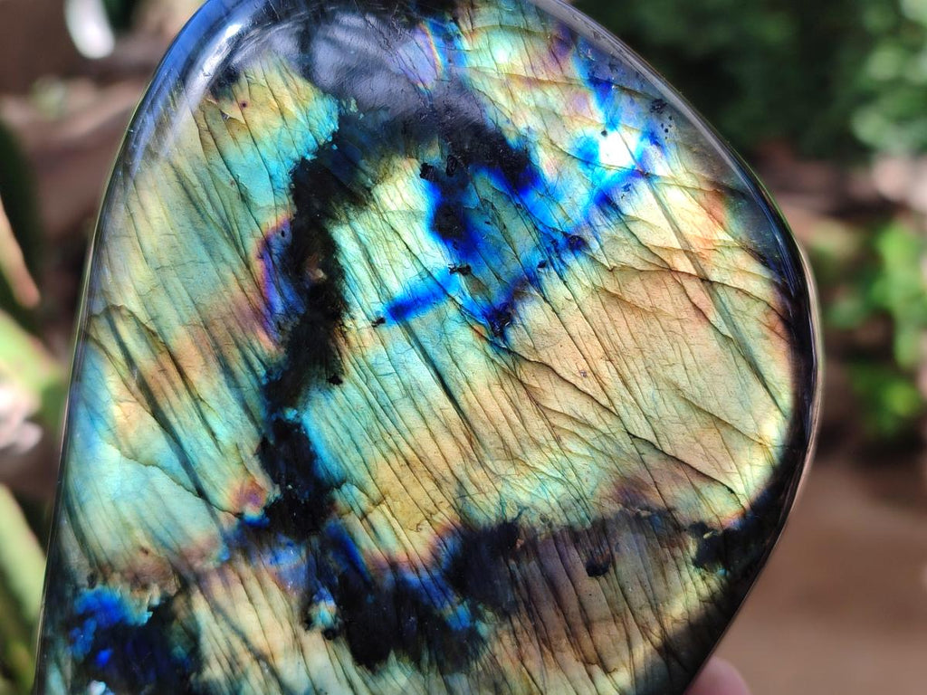 Polished Labradorite Standing Free Forms x 2 From Madagascar - Toprock Gemstones and Minerals 