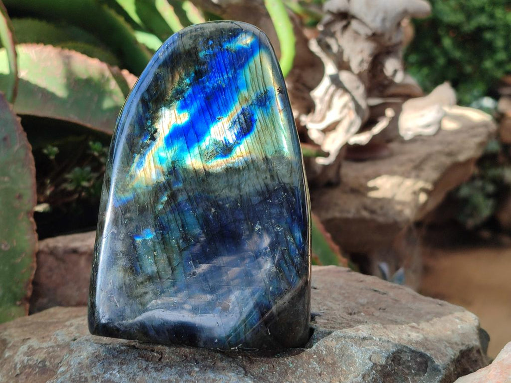 Polished Labradorite Standing Free Forms x 2 From Madagascar - Toprock Gemstones and Minerals 