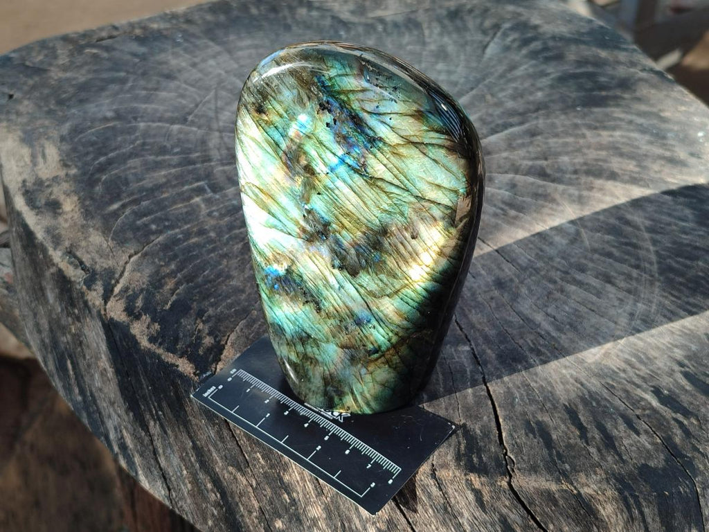 Polished Labradorite Standing Free Forms x 2 From Madagascar - Toprock Gemstones and Minerals 