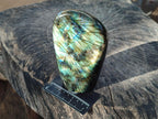 Polished Labradorite Standing Free Forms x 2 From Madagascar - Toprock Gemstones and Minerals 