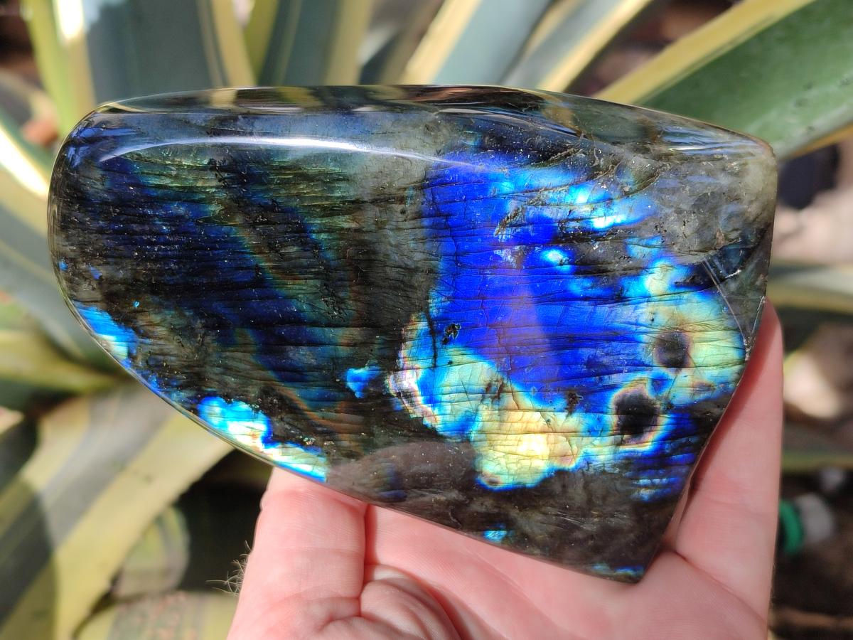 Polished Labradorite Standing Free Forms x 2 From Madagascar - Toprock Gemstones and Minerals 