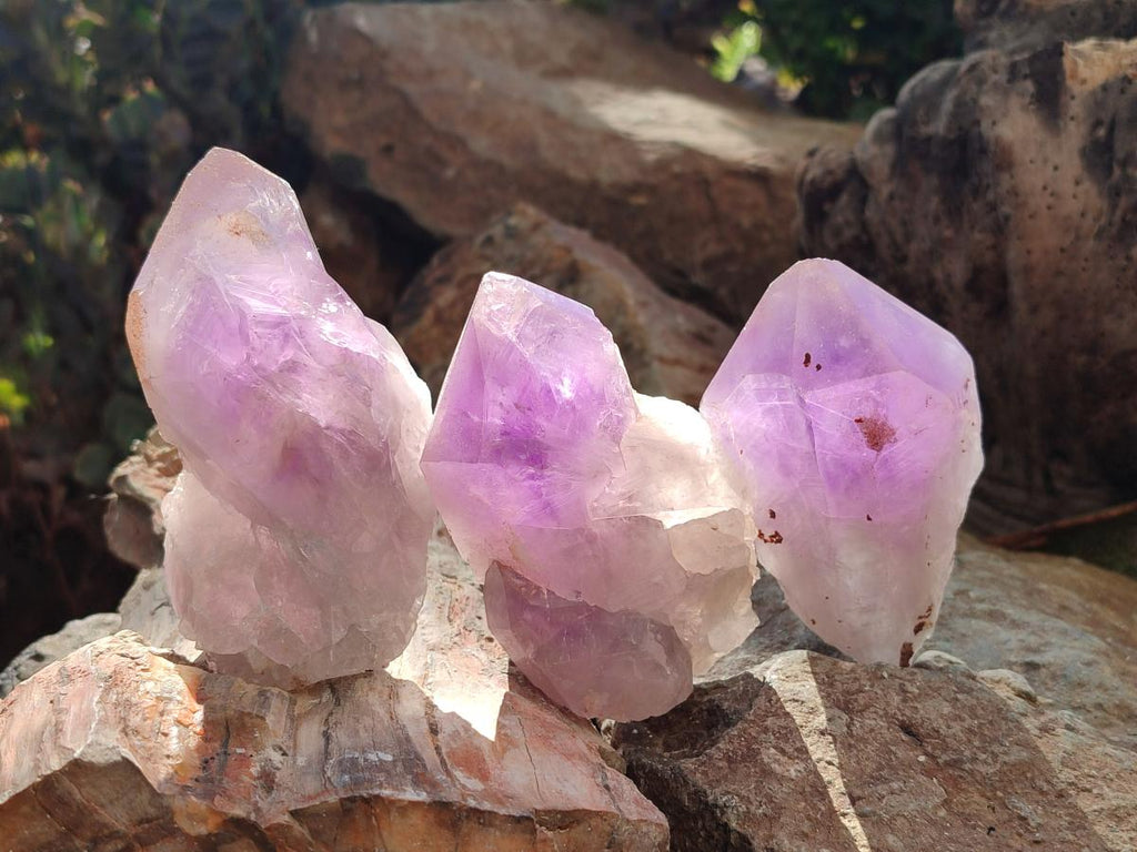 Natural Jacaranda Amethyst Single Crystals x 6 From Mumbwa, Zambia - Toprock Gemstones and Minerals 
