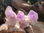 Natural Jacaranda Amethyst Single Crystals x 6 From Mumbwa, Zambia - Toprock Gemstones and Minerals 