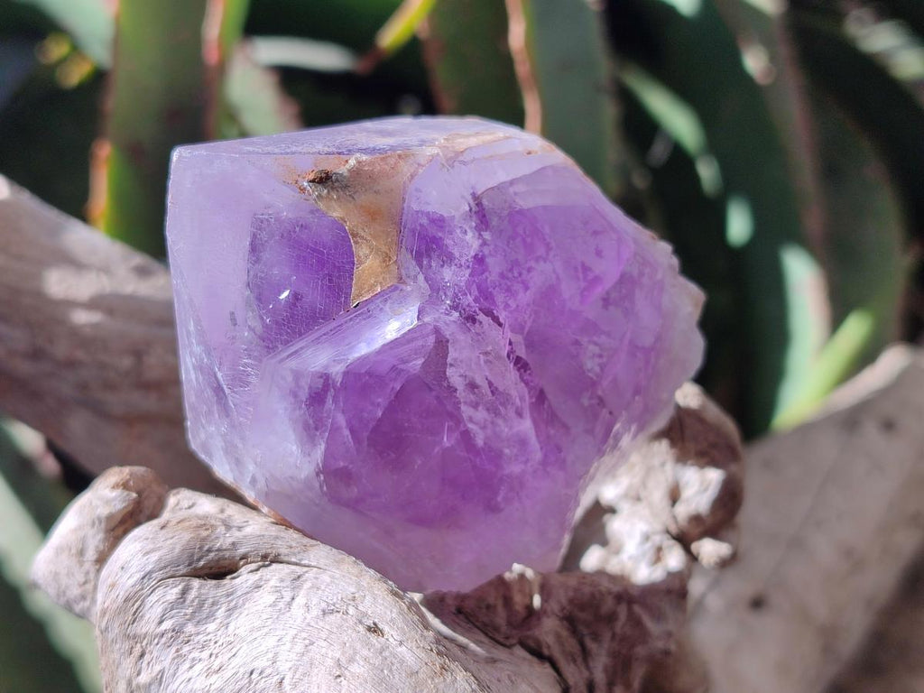 Natural Jacaranda Amethyst Single Crystals x 6 From Mumbwa, Zambia - Toprock Gemstones and Minerals 