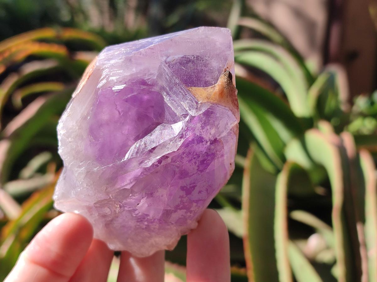 Natural Jacaranda Amethyst Single Crystals x 6 From Mumbwa, Zambia - Toprock Gemstones and Minerals 