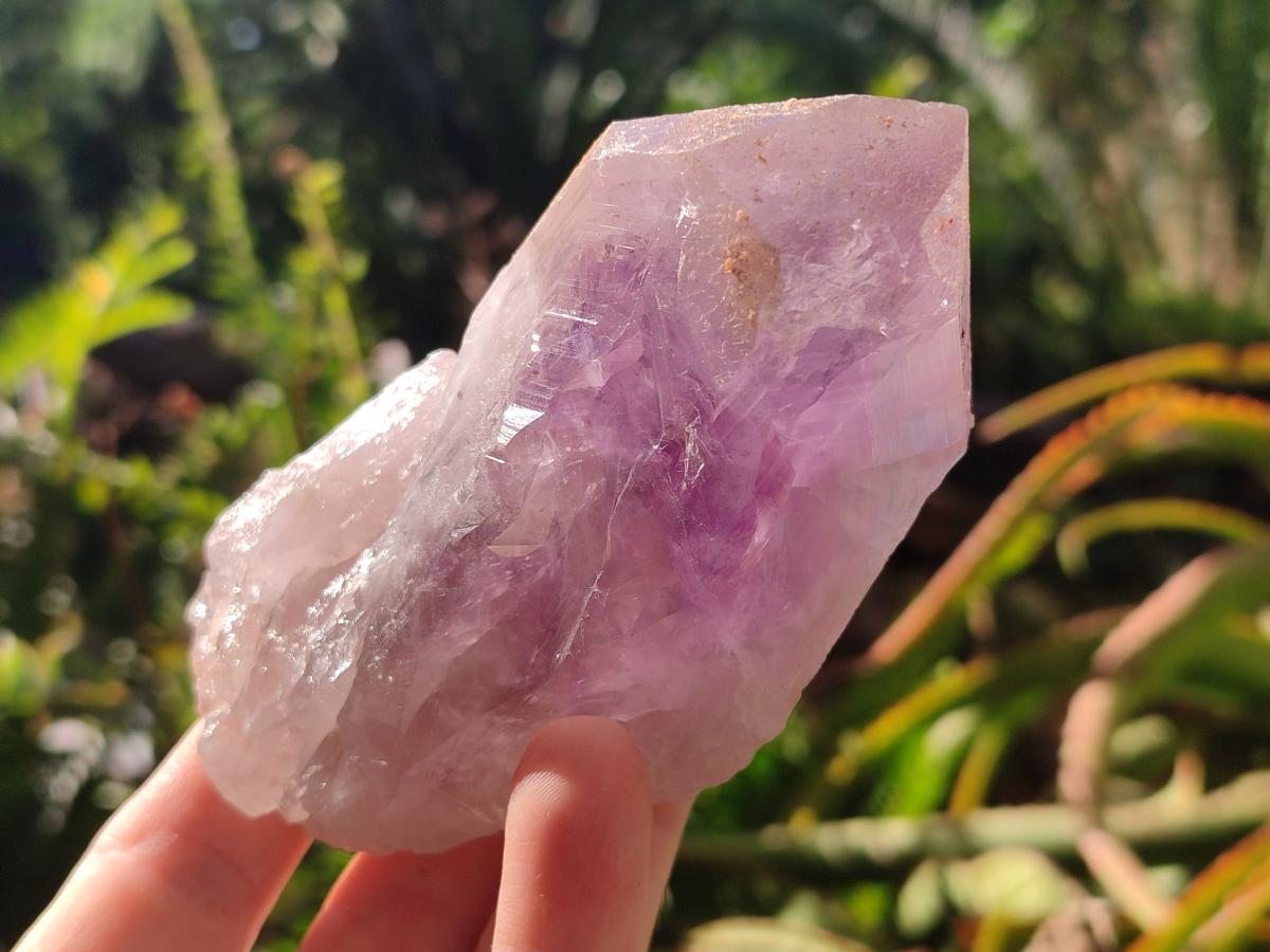 Natural Jacaranda Amethyst Single Crystals x 6 From Mumbwa, Zambia - Toprock Gemstones and Minerals 