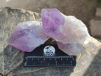 Natural Jacaranda Amethyst Single Crystals x 6 From Mumbwa, Zambia - Toprock Gemstones and Minerals 