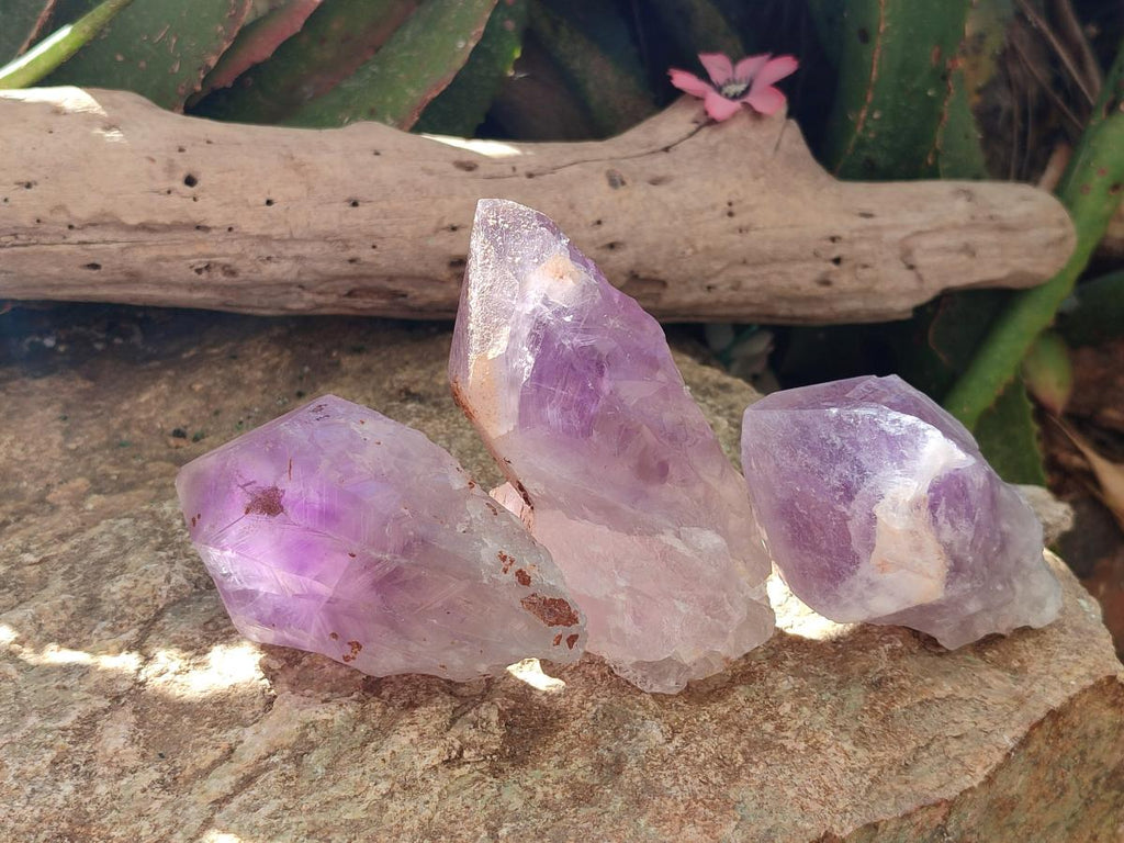 Natural Jacaranda Amethyst Single Crystals x 6 From Mumbwa, Zambia - Toprock Gemstones and Minerals 