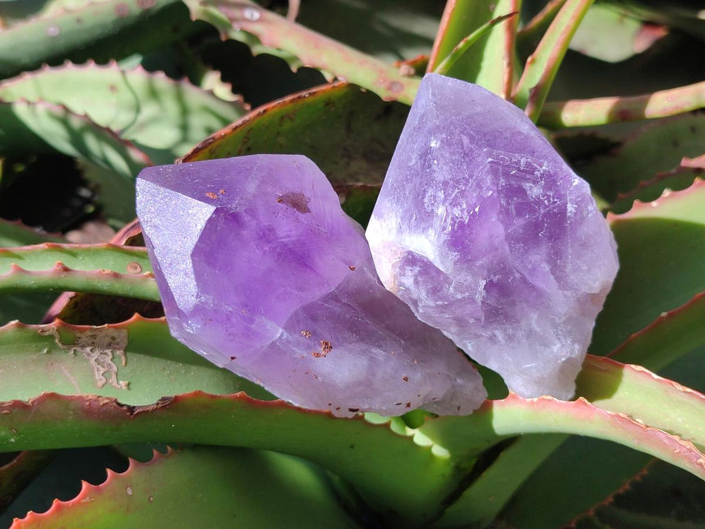 Natural Jacaranda Amethyst Single Crystals x 6 From Mumbwa, Zambia - Toprock Gemstones and Minerals 