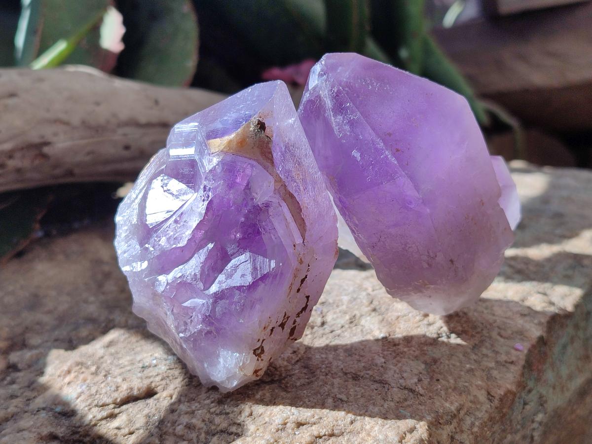 Natural Jacaranda Amethyst Single Crystals x 6 From Mumbwa, Zambia - Toprock Gemstones and Minerals 