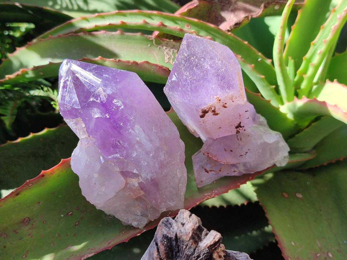 Natural Jacaranda Amethyst Single Crystals x 6 From Mumbwa, Zambia - Toprock Gemstones and Minerals 