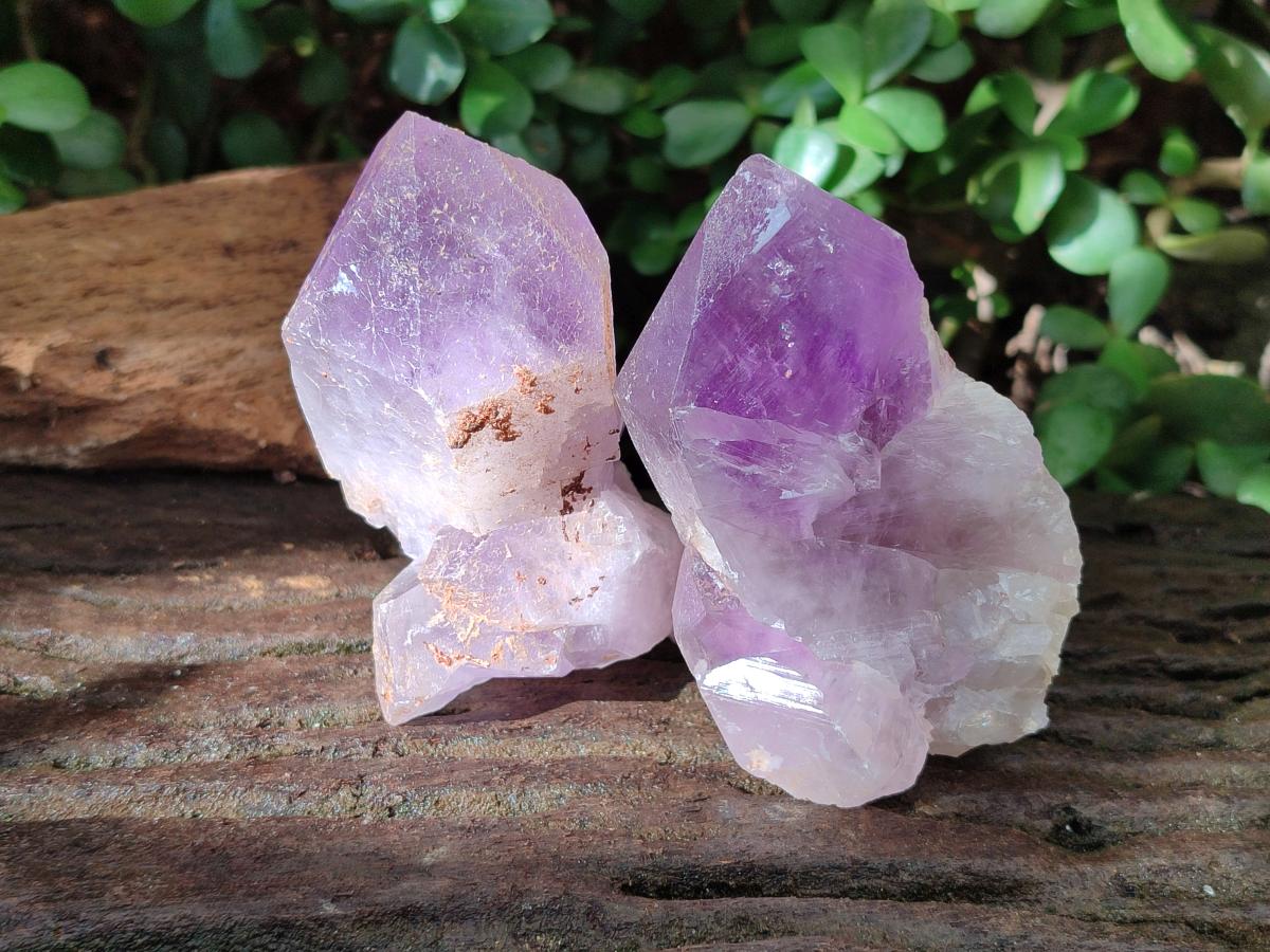 Natural Jacaranda Amethyst Single Crystals x 6 From Mumbwa, Zambia - Toprock Gemstones and Minerals 