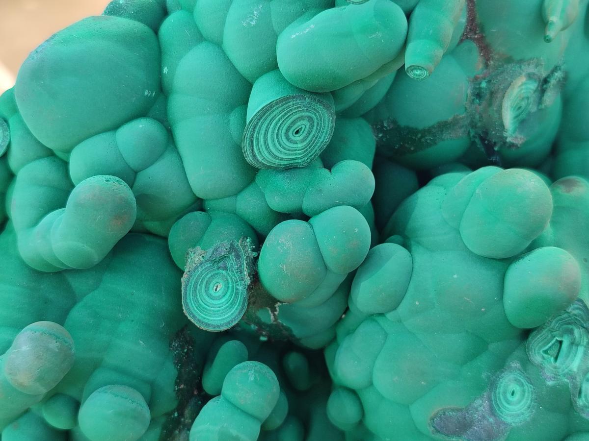 Natural Large Rare Botryoidal Malachite with Stalactites and Stalagmites x 1 From Kolwezi, Congo - Toprock Gemstones and Minerals 