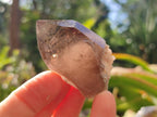 Natural Smokey Morion Quartz Crystals x 35 From Mulanje, Malawi - Toprock Gemstones and Minerals 