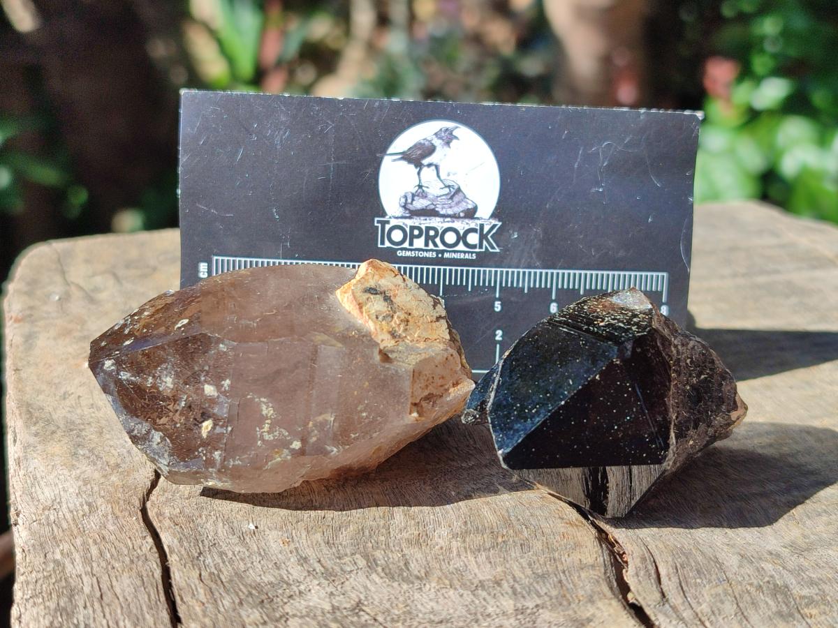 Natural Smokey Morion Quartz Crystals x 35 From Mulanje, Malawi - Toprock Gemstones and Minerals 