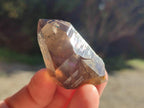 Natural Smokey Morion Quartz Crystals x 35 From Mulanje, Malawi - Toprock Gemstones and Minerals 
