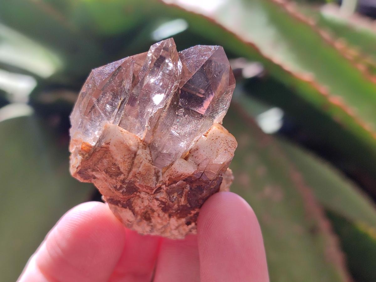 Natural Smokey Morion Quartz Crystals x 35 From Mulanje, Malawi - Toprock Gemstones and Minerals 