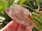 Natural Smokey Morion Quartz Crystals x 35 From Mulanje, Malawi - Toprock Gemstones and Minerals 