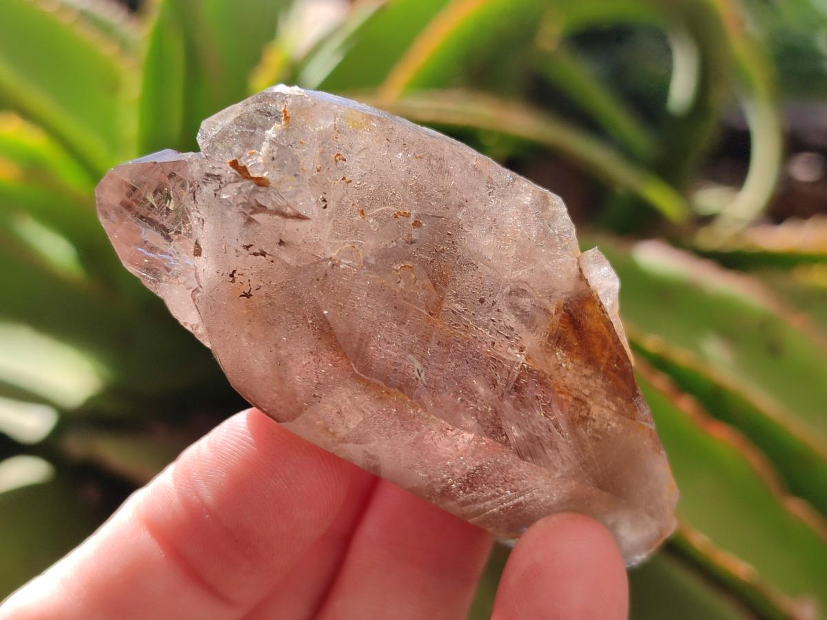Natural Smokey Morion Quartz Crystals x 35 From Mulanje, Malawi - Toprock Gemstones and Minerals 