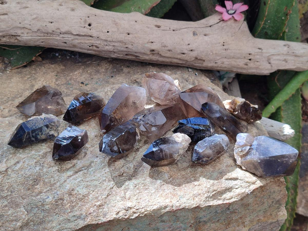 Natural Smokey Morion Quartz Crystals x 35 From Mulanje, Malawi - Toprock Gemstones and Minerals 