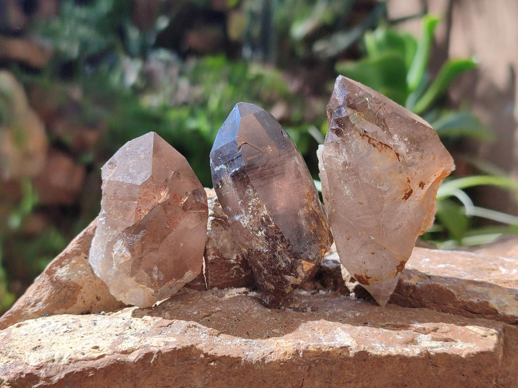 Natural Smokey Morion Quartz Crystals x 35 From Mulanje, Malawi - Toprock Gemstones and Minerals 