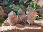 Natural Smokey Morion Quartz Crystals x 35 From Mulanje, Malawi - Toprock Gemstones and Minerals 