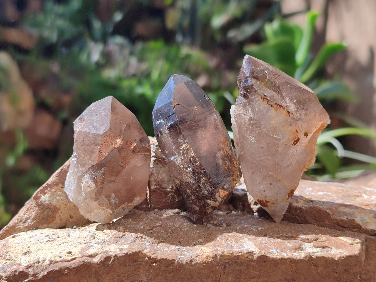 Natural Smokey Morion Quartz Crystals x 35 From Mulanje, Malawi - Toprock Gemstones and Minerals 