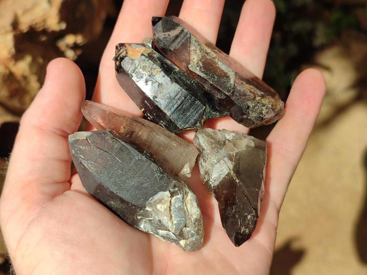 Natural Smokey Morion Quartz Crystals x 35 From Mulanje, Malawi - Toprock Gemstones and Minerals 