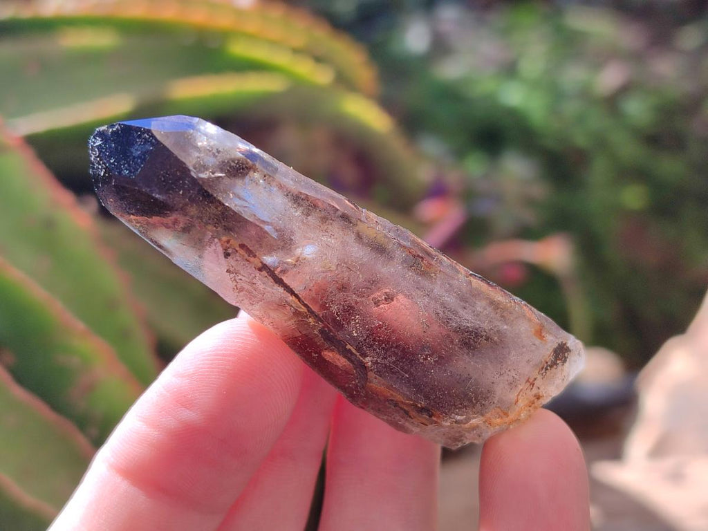 Natural Smokey Morion Quartz Crystals x 35 From Mulanje, Malawi - Toprock Gemstones and Minerals 