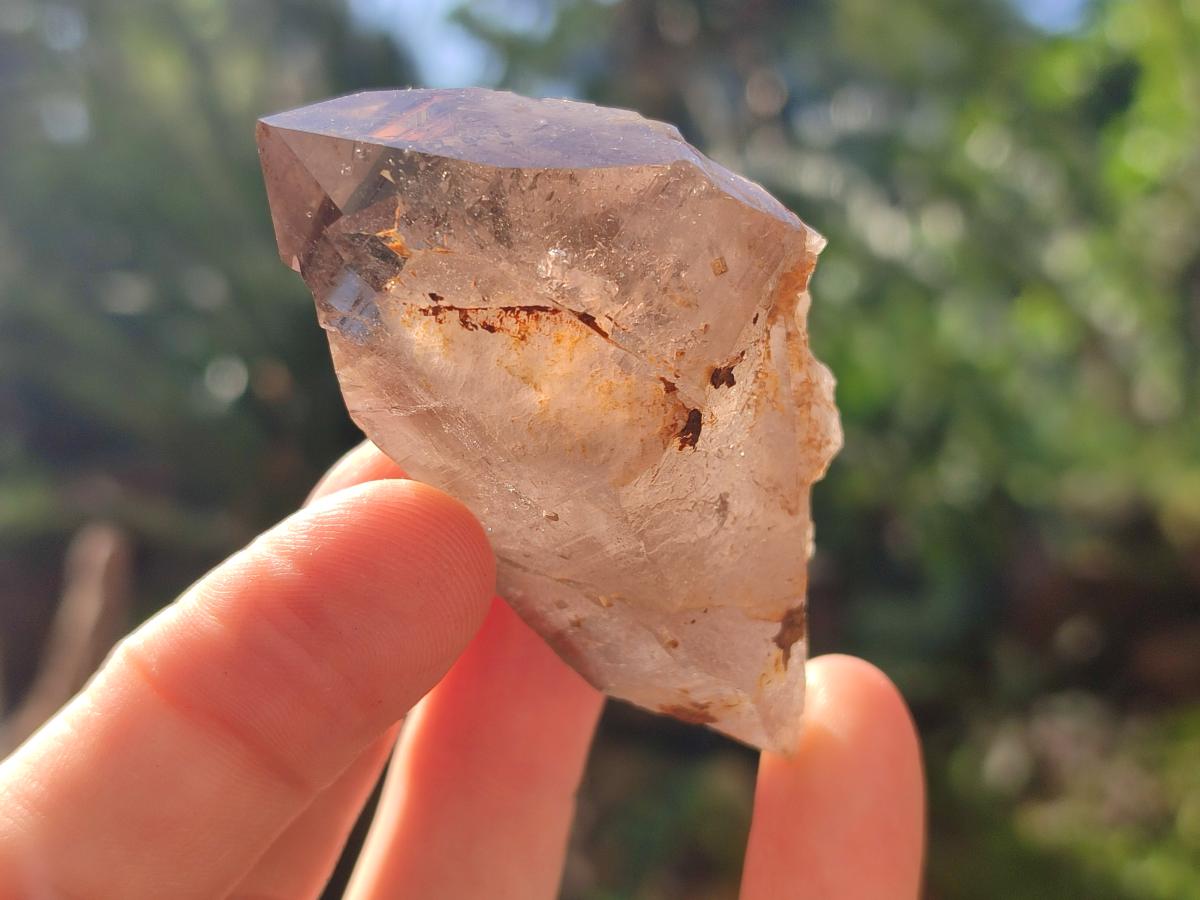 Natural Smokey Morion Quartz Crystals x 35 From Mulanje, Malawi - Toprock Gemstones and Minerals 