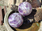 Polished Chevron Amethyst Spheres x 2 From Madagascar - Toprock Gemstones and Minerals 