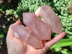 Polished Double Terminated Gemmy Rose Quartz Crystals x 6 From Madagascar - Toprock Gemstones and Minerals 