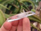 Natural Mixed Brandberg Window Quartz Crystals x 35 From Brandberg, Namibia - Toprock Gemstones and Minerals 