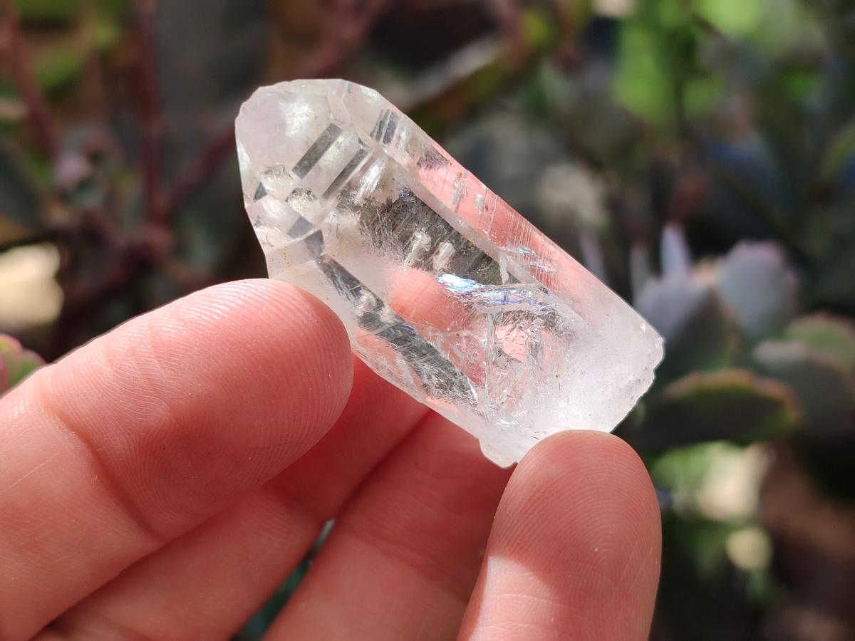 Natural Mixed Brandberg Window Quartz Crystals x 35 From Brandberg, Namibia - Toprock Gemstones and Minerals 