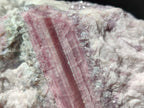 Natural Pink Rubellite Tourmaline Specimens x 2 From Karibib, Namibia - Toprock Gemstones and Minerals 