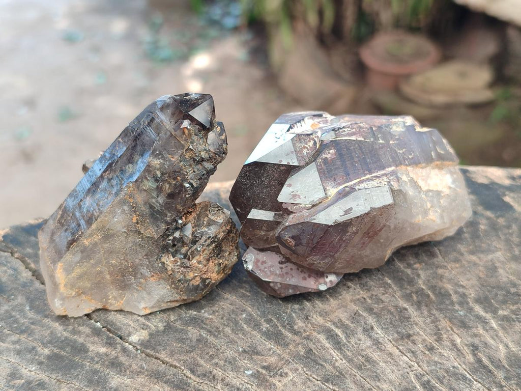 Natural Smokey Quartz Crystals and Clusters x 12 From Mulanje, Malawi - Toprock Gemstones and Minerals 
