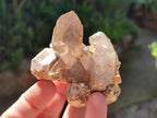 Natural Smokey Quartz Crystals and Clusters x 12 From Mulanje, Malawi - Toprock Gemstones and Minerals 