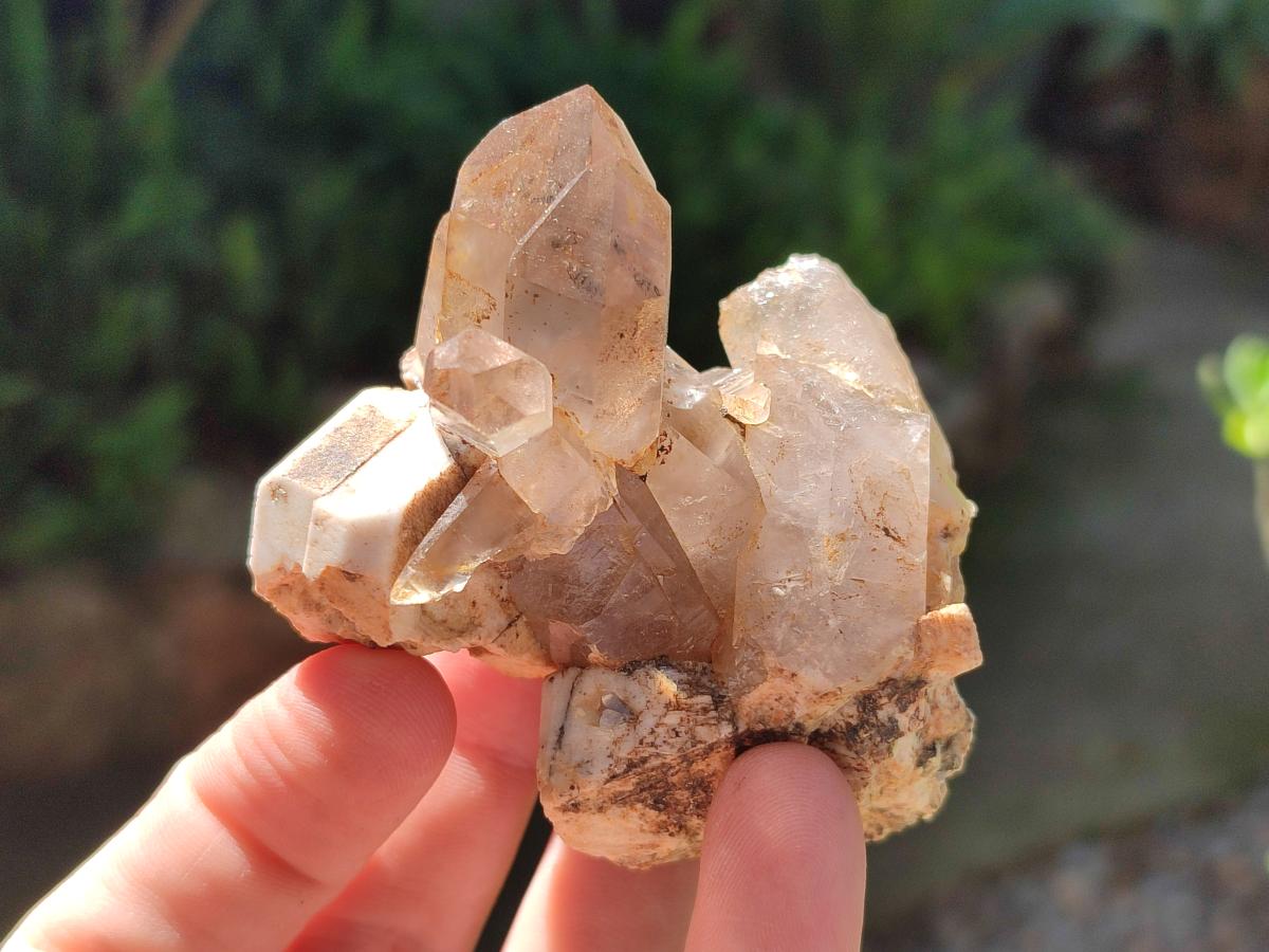 Natural Smokey Quartz Crystals and Clusters x 12 From Mulanje, Malawi - Toprock Gemstones and Minerals 