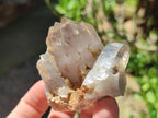 Natural Smokey Quartz Crystals and Clusters x 12 From Mulanje, Malawi - Toprock Gemstones and Minerals 