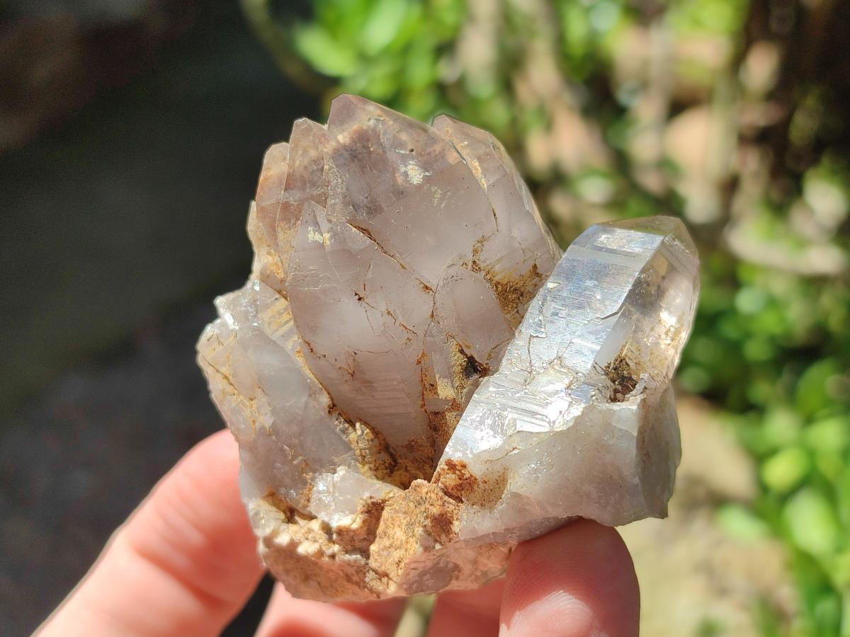 Natural Smokey Quartz Crystals and Clusters x 12 From Mulanje, Malawi - Toprock Gemstones and Minerals 