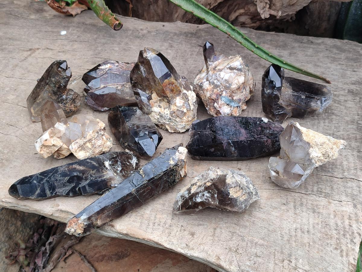 Natural Smokey Quartz Crystals and Clusters x 12 From Mulanje, Malawi - Toprock Gemstones and Minerals 