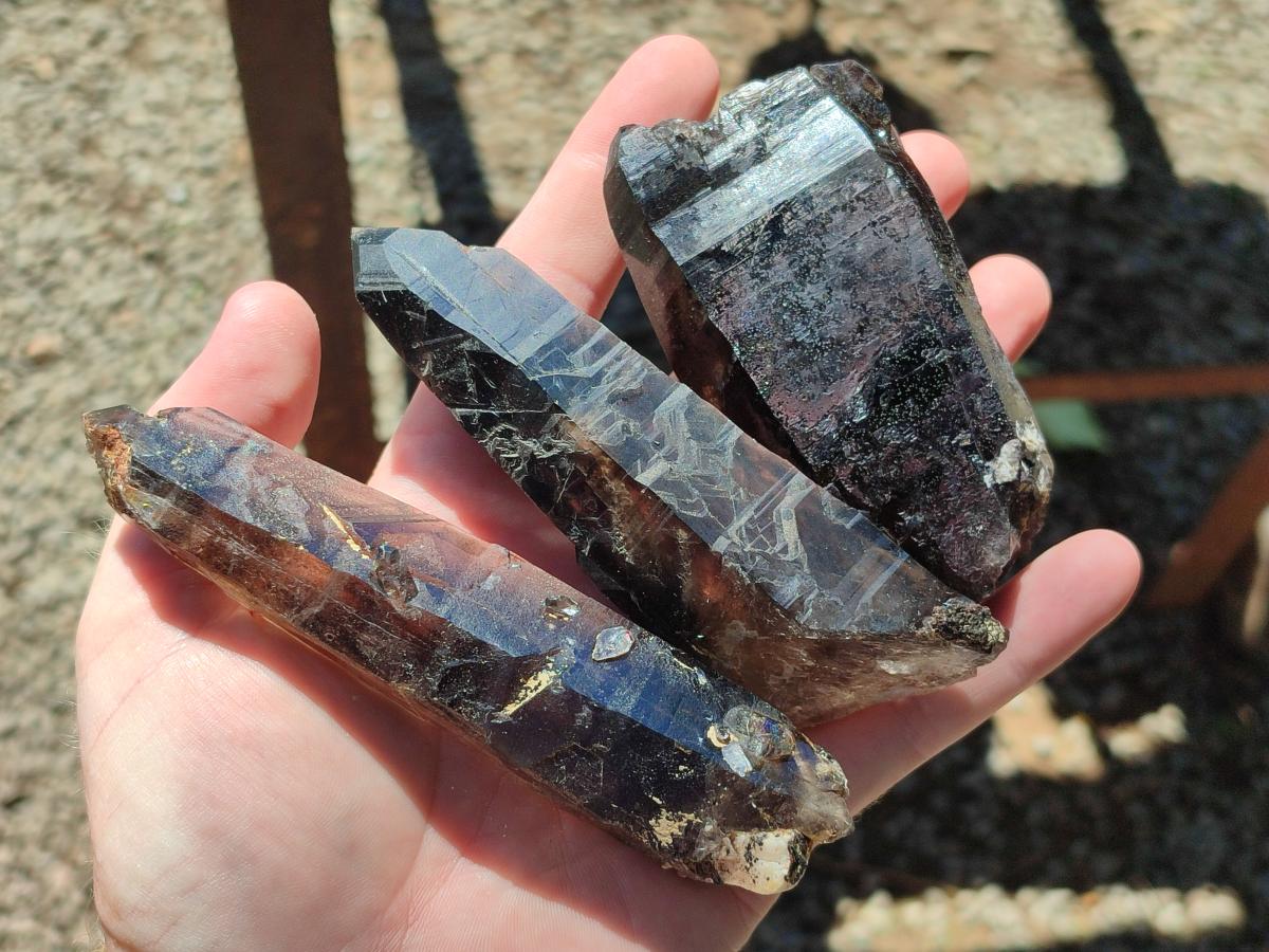 Natural Smokey Quartz Crystals and Clusters x 12 From Mulanje, Malawi - Toprock Gemstones and Minerals 