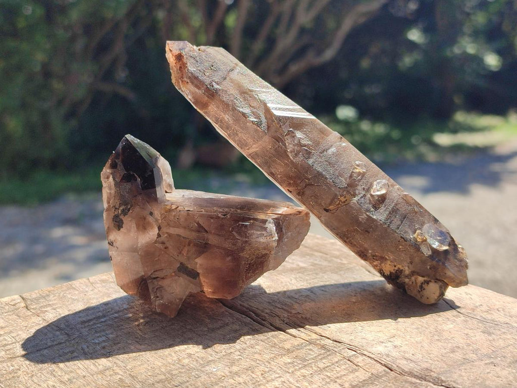 Natural Smokey Quartz Crystals and Clusters x 12 From Mulanje, Malawi - Toprock Gemstones and Minerals 