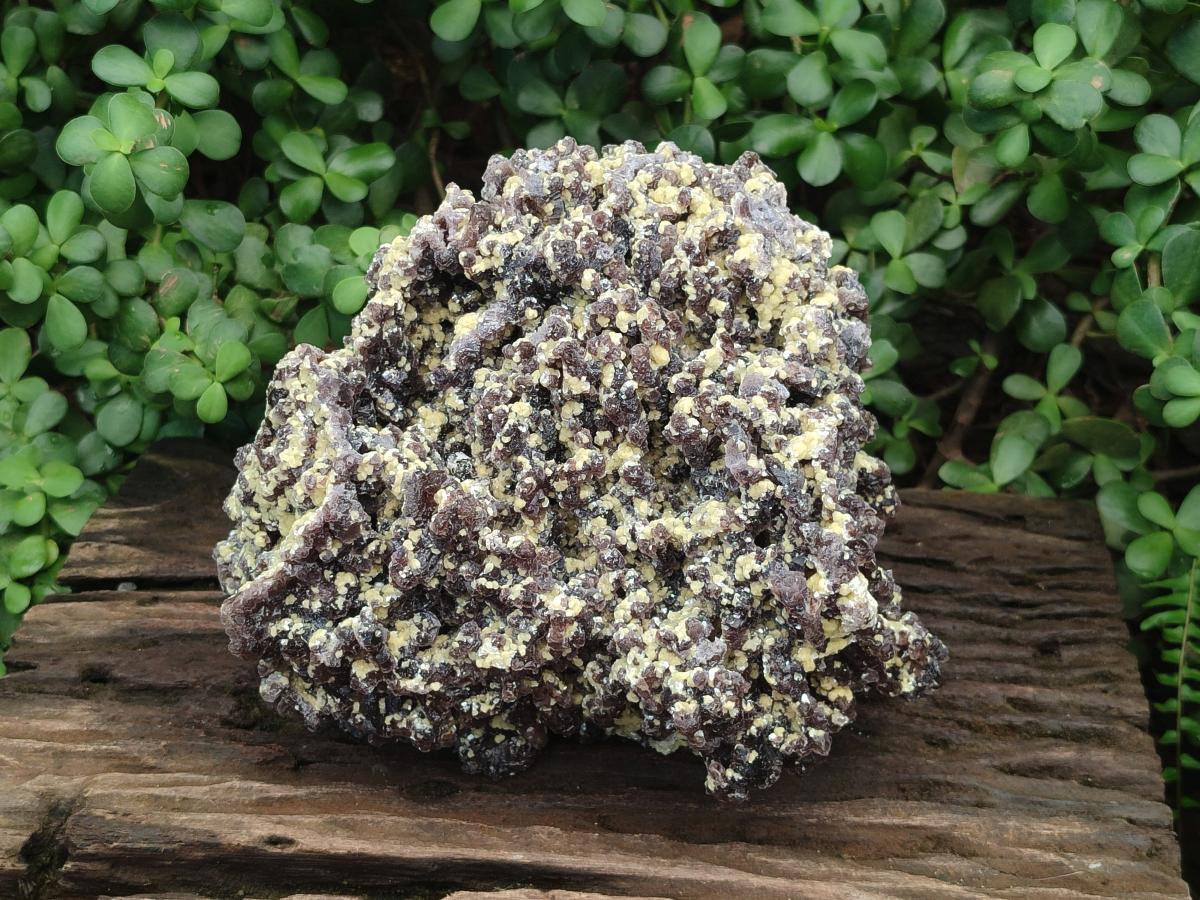 Natural XL Smokey Fluorite with yellow Muscovite Mica specimen x 1 From Erongo, Namibia - Toprock Gemstones and Minerals 