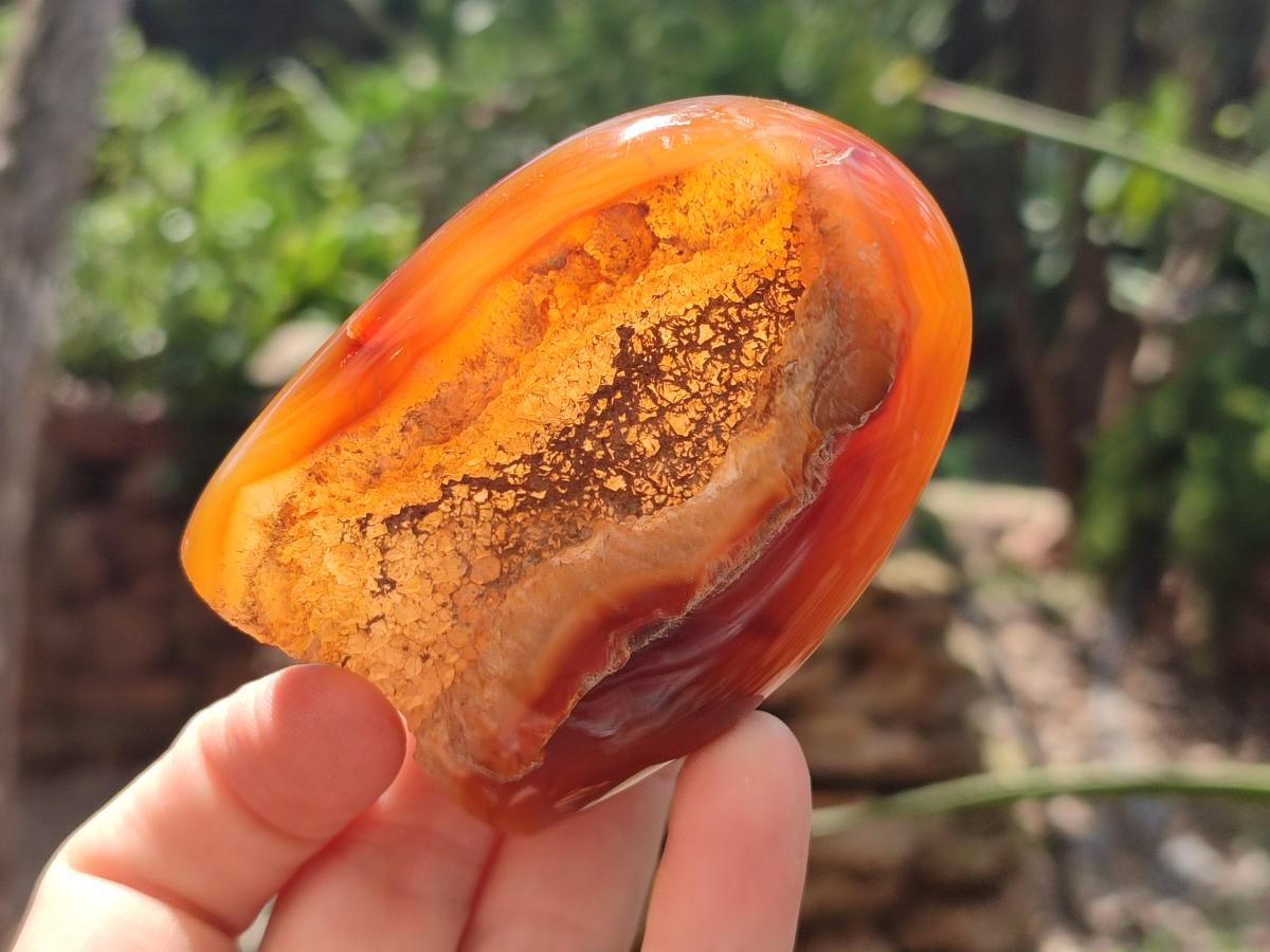 Polished Carnelian Agate Gemstone Standing Free Forms x 12 From Madagascar - Toprock Gemstones and Minerals 